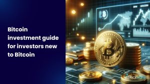 Bitcoin investment guide for investors new to Bitcoin